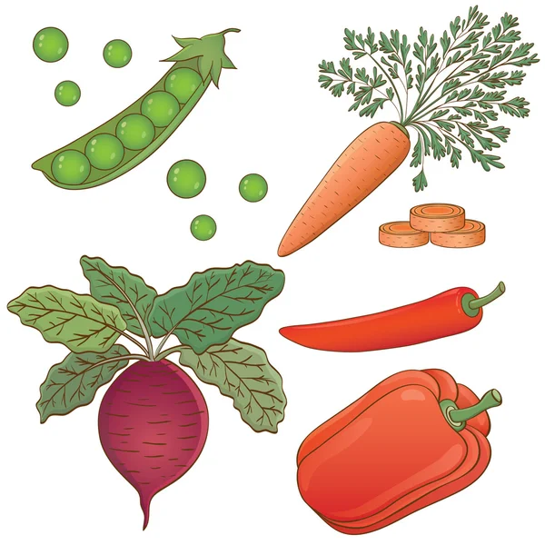 Dojrzałe letnich warzyw — Wektor stockowy