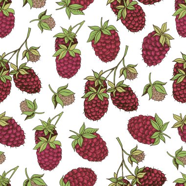 Ahududu meyveleri ile Seamless Modeli