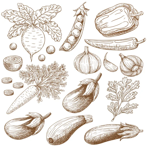 Ilustracja różnych warzyw — Wektor stockowy