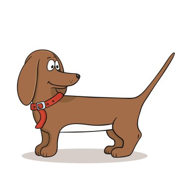 Beyaz arkaplanda şirin bir dachshund köpek çizimi