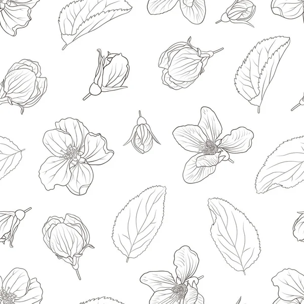 Vektornahtloses Muster Mit Apfelblüten Auf Weißem Hintergrund — Stockvektor