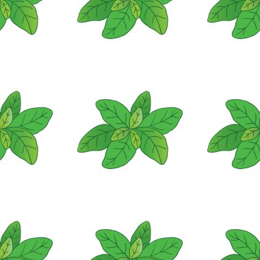 Vektör baharat koleksiyonu bazilika ve illisiyum içeren pürüzsüz desen açık sarı arkaplan