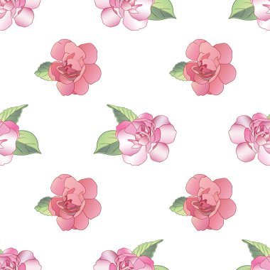 Beyaz arka planda güzel pembe balzamin çiçekleri olan dikdörtgen desenli vektör.