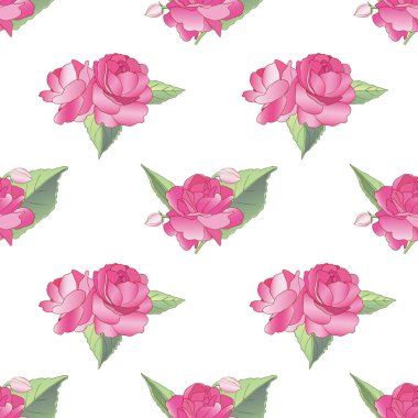 Beyaz arka planda güzel pembe balzamin çiçekleri olan dikdörtgen desenli vektör.