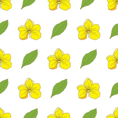 Şifalı bitkiler koleksiyonu. Vektör el, Cassia fistülü tıbbi bir bitki ile kusursuz bir desen çizmiş.