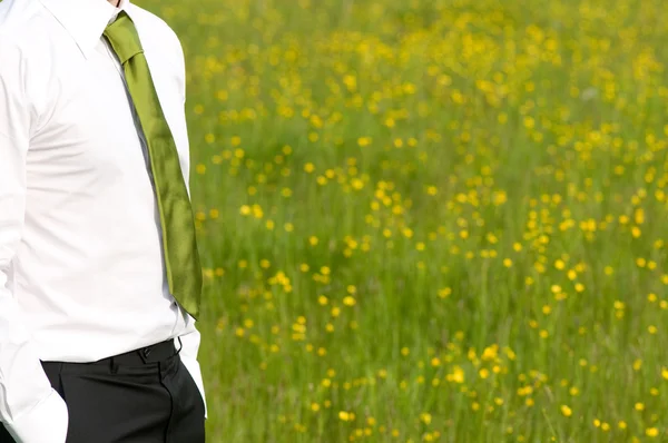 Zakenman met groene stropdas staan op platteland — Stockfoto