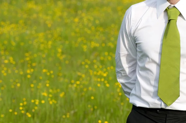 Hombre de negocios con corbata verde parado en el campo — Foto de Stock