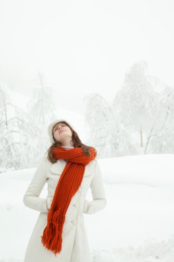 karlı bir manzara içinde kırmızı eşarp güzel rahat bir kadınla