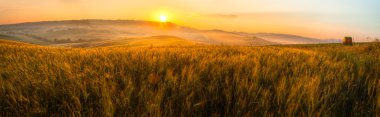 Tuscany buğday alan panorama adlı gündoğumu