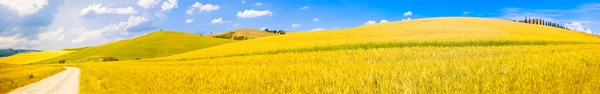 Campo de trigo en Toscana panorama en un día soleado — Foto de Stock