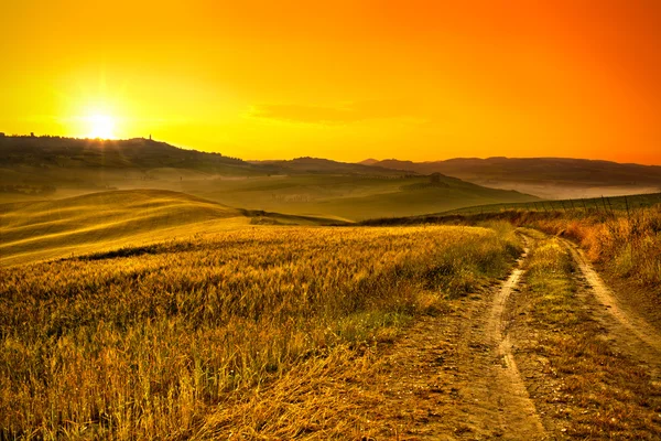 Campo de trigo Toscana colina al amanecer — Foto de Stock