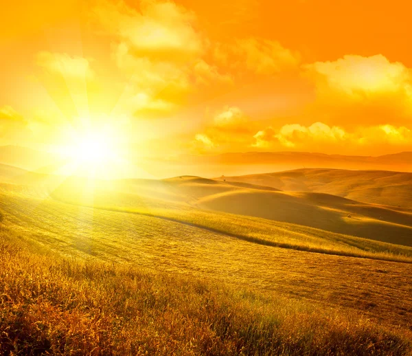 Tuscany wheat field hill at sunrise — Stock Photo, Image