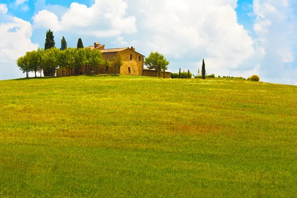 Tuscany tarwe veld heuvel in een zonnige dag — Stockfoto