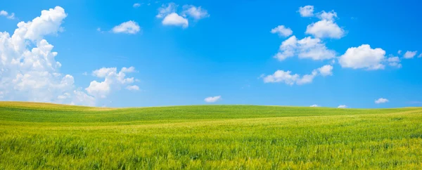 Tuscany tarwe veld heuvel in een zonnige dag met wolken — Stockfoto