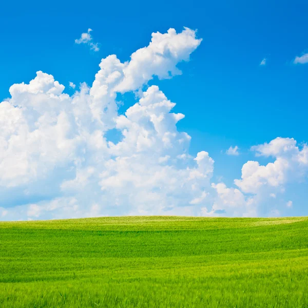 Bela vista de campo verde ao ar livre com céu azul e nuvens — Fotografia de Stock