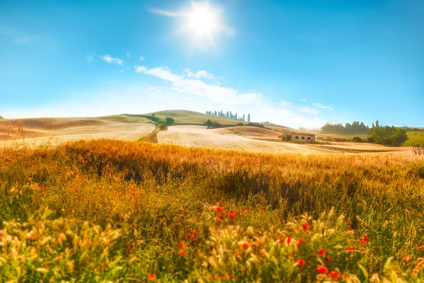 Schöne grüne Außenansicht mit blauem Himmel und Wolken — Stockfoto