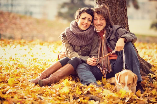 Romantikus pár a szerelem ősz a parkban — Stock Fotó