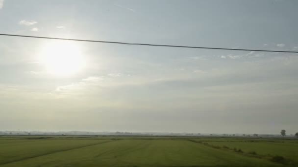 Campo de arroz panorama por la mañana — Vídeos de Stock