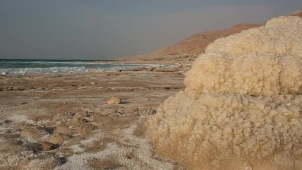 Deserto e mar morto — Vídeo de Stock