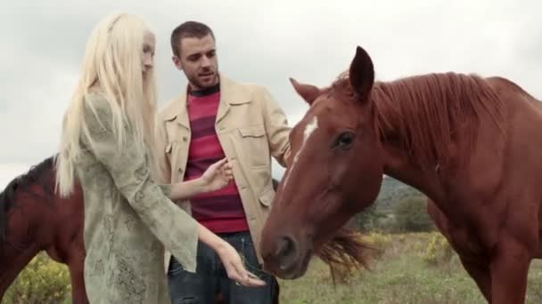 Два друга или пара влюбленных инсульта и кормить лошадей на открытом воздухе — стоковое видео