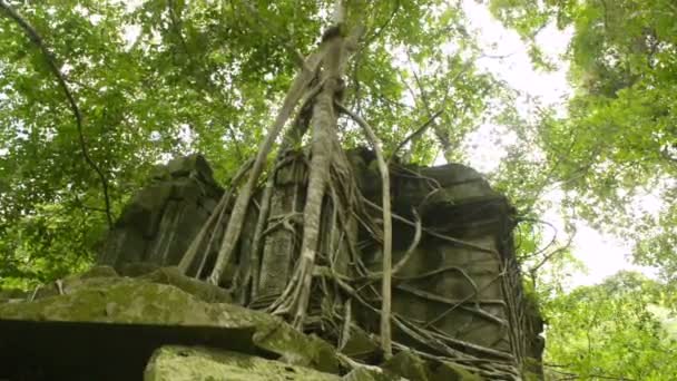 Beng melea temple Unesco world heritage — Stock Footage Beng melea temple Unesco world heritage Stock Footage