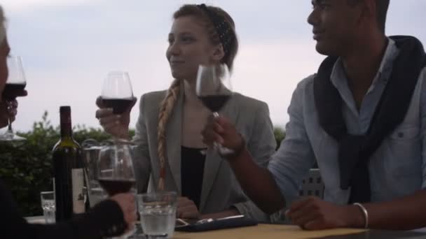 Vrienden in de zomer dag 's avonds maken een toast — Stockvideo