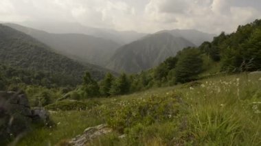 Yaz günü dağ alanları 