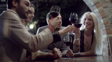 Arkadaş grubu bir tost, gülümsüyor ve İçecek şarap yapar kırsal çiftlik