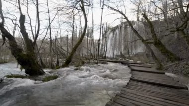 Bakış açısı Unesco kelime miras plitvice gölleri Milli Parkı şelale