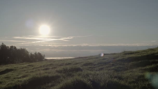 Junge Freunde wandern in freier Natur den Berg hinauf — Stockvideo