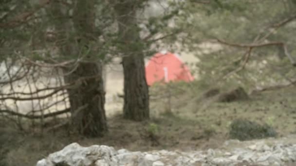 Camping i skogen i bergen — Stockvideo
