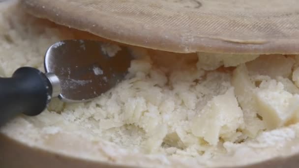 Italienischer Käse Parmigiano — Stockvideo