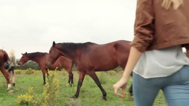 Amigos caminan abrazos y se divierten con caballos — Vídeo de stock
