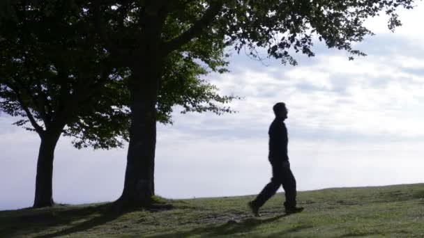 Young man silhouette walking in nature enjoying the panorama — Stock Video