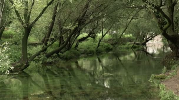 Вид на реку в летний день — стоковое видео