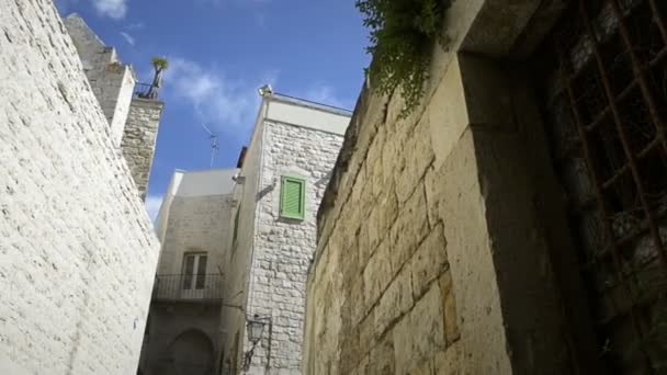 Giovinazzo centre historique — Video