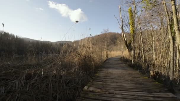 Národní park Plitvická jezera — Stock video