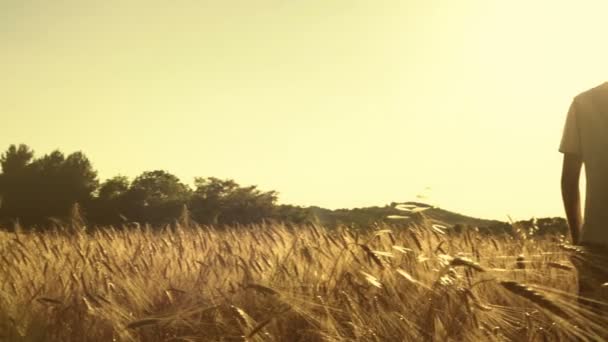 Anak muda berjalan sepanjang ladang gandum cerah — Stok Video