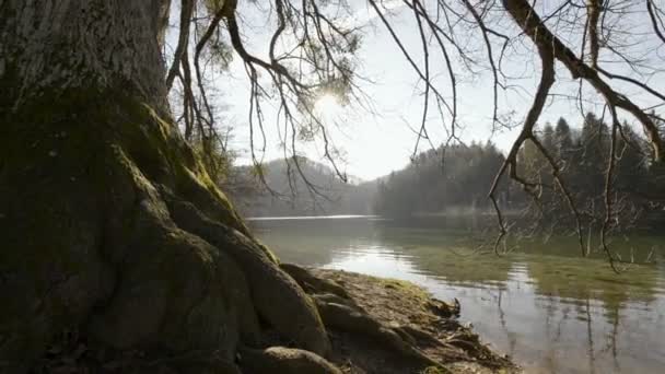 Parco Nazionale dei Laghi di Plitvice — Video Stock
