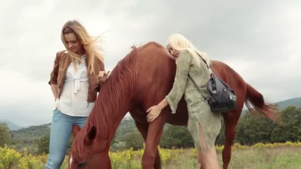 Dos mujeres jóvenes sonríen golpes y abrazos caballos — Vídeo de stock