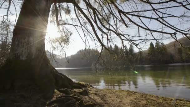 Park Narodowy Jezior Plitwickich — Wideo stockowe