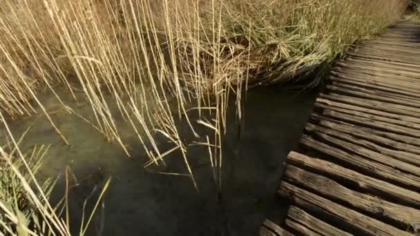 Národní park Plitvická jezera — Stock video