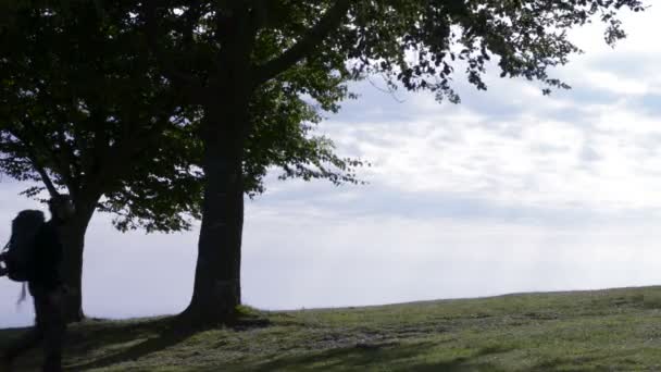 Ung man silhuetten promenader i naturen njuter panorama — Stockvideo