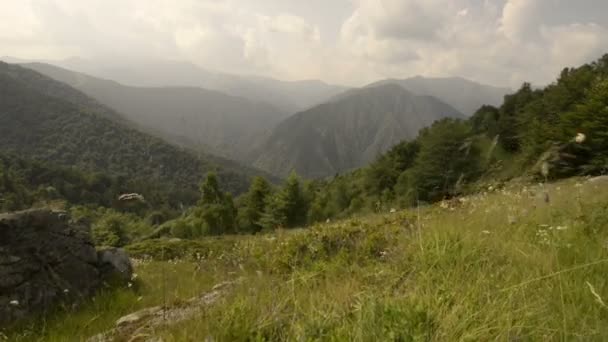Campos de montaña en día de verano — Vídeos de Stock