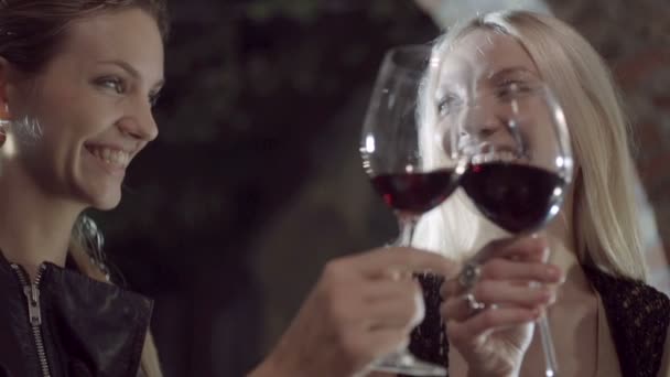 Jonge mooie homoseksuele lesbische vrouwen paar maken een toast — Stockvideo