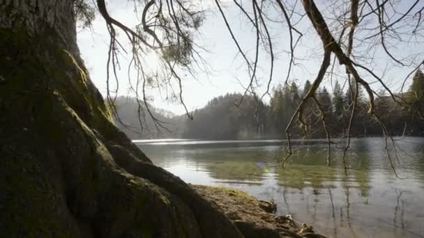 Plitvice Gölleri Ulusal Parkı — Stok video