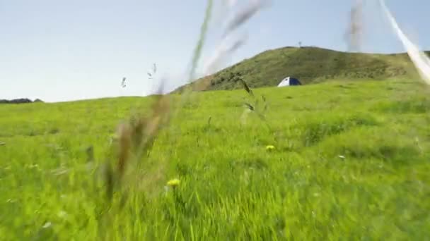 Caminhando ao longo da grama montanha paisagem natureza ao ar livre durante o dia ensolarado de verão — Vídeo de Stock