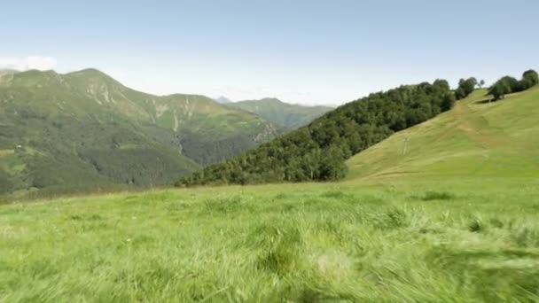 화창한 여름 날 동안 잔디 산 야외 자연 경치를 따라 산책 — 비디오