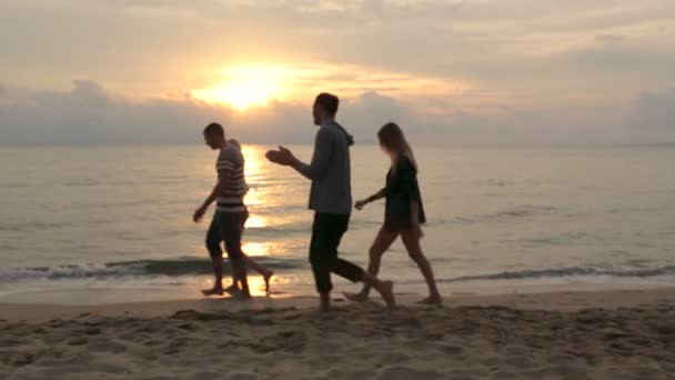 Parejas caminando en la playa — Vídeo de stock