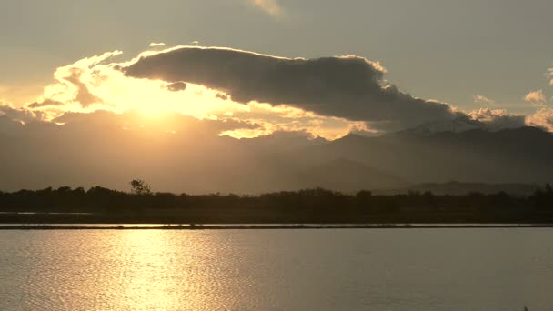 Italienische Reisfelder in Vercelli bei Sonnenuntergang — Stockvideo